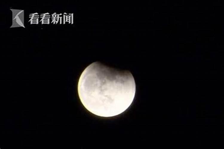 属蛇人的一生总运势如何