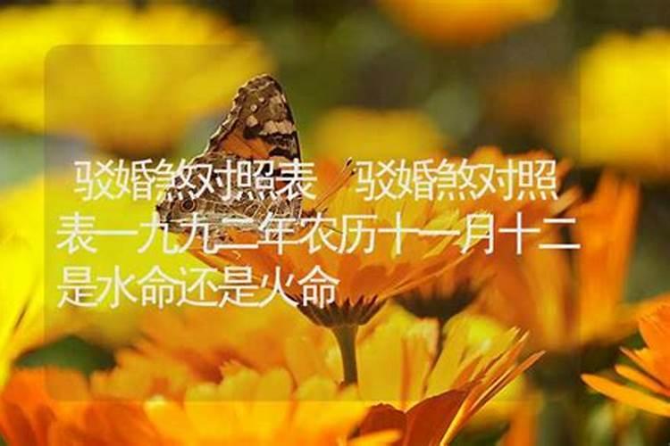 为何会有驳婚煞驳婚煞到底能不能破