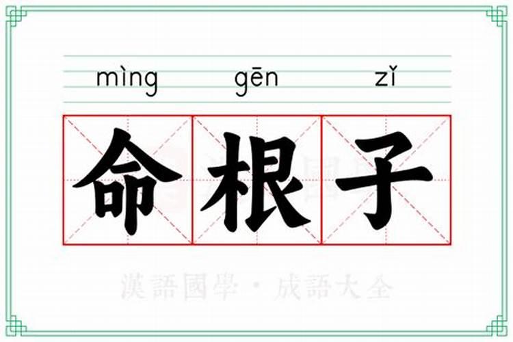 梦见男人的命根子掉了的预兆