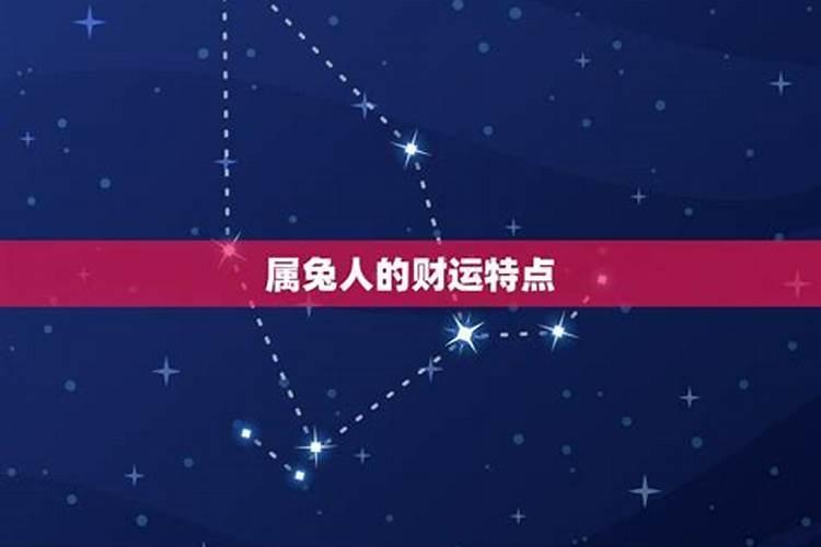 87年兔贵人何时出现