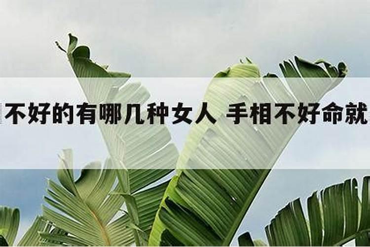 2025年犯太岁会很严重的生肖