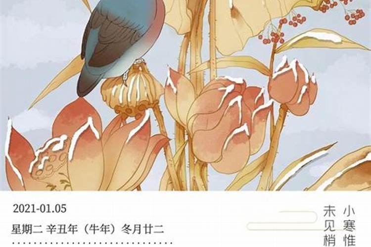 农历73年11月2日是什么星座