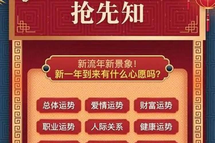 属牛在猪年运势如何