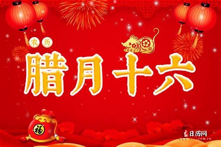 1995年属猪7月15日命运如何？