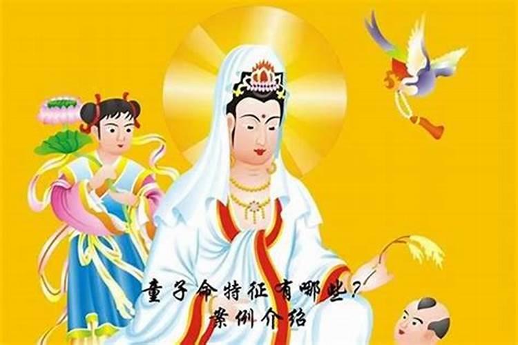 2025最旺的生肖 属兔的人 运势
