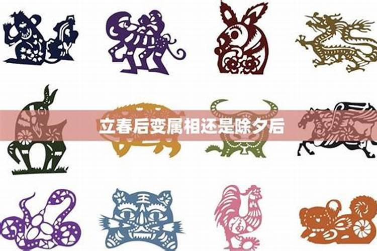 梦见和别的女人抢一个男人的预兆