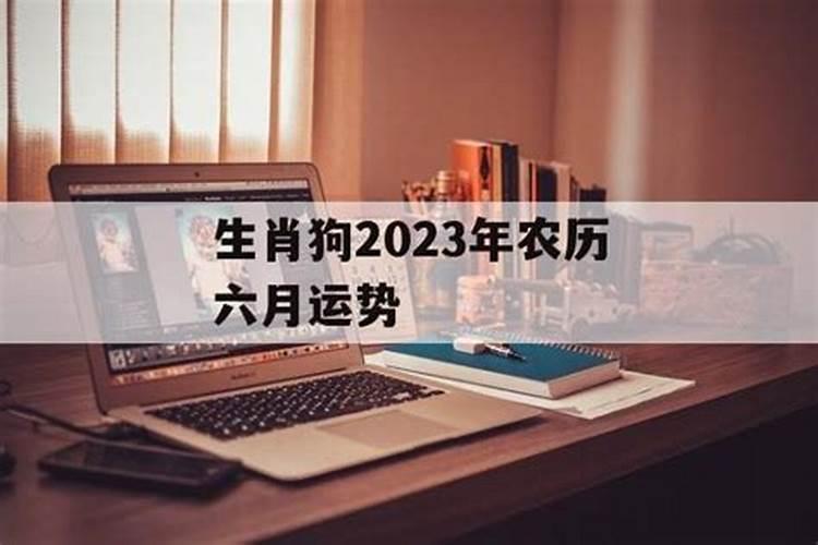 2025年属狗人的全年每月运势