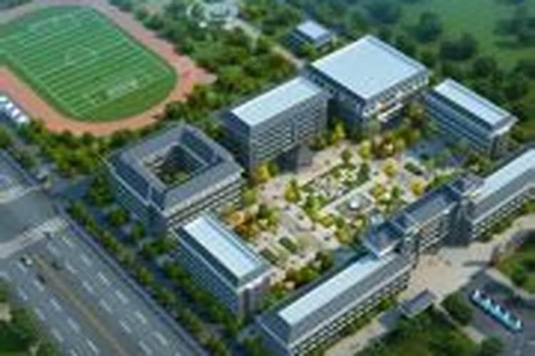 龙2025年运势及运程详解