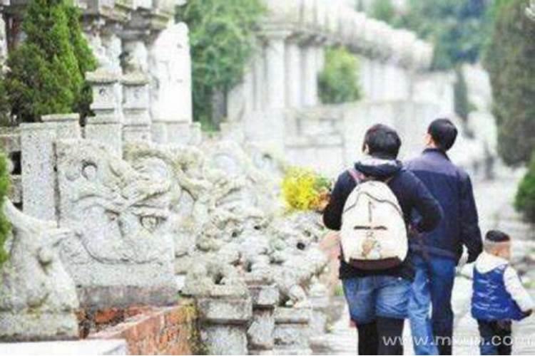 2025年犯太岁属相是哪五个
