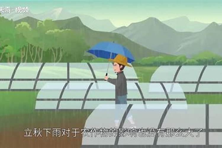 八字一般看阳历还是阴历