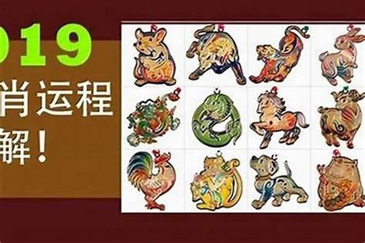 属猴人9月走什么运？事业有好运眷顾？