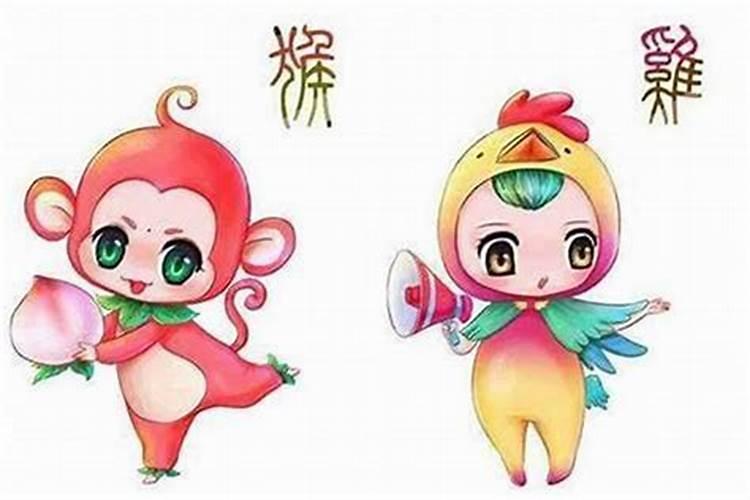 2024为什么属鸡的人小人多 2024属鸡人要防的小人属相