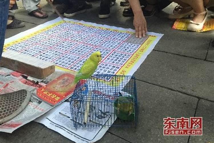 谁知道用鸟算卦的原理？