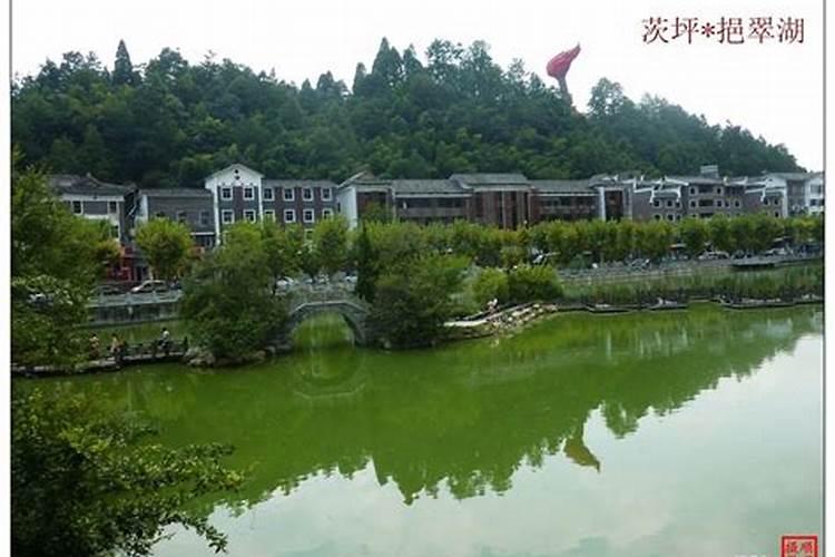属鼠2025年运势及运
