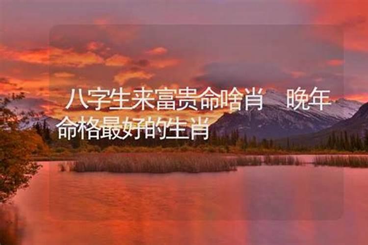 八字富贵命是什么意思,八字带有夫人命