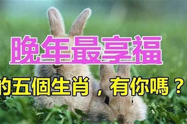 富贵命是什么意思