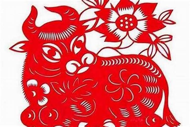 牛与牛婚配好不好同属相牛在一起会幸福吗