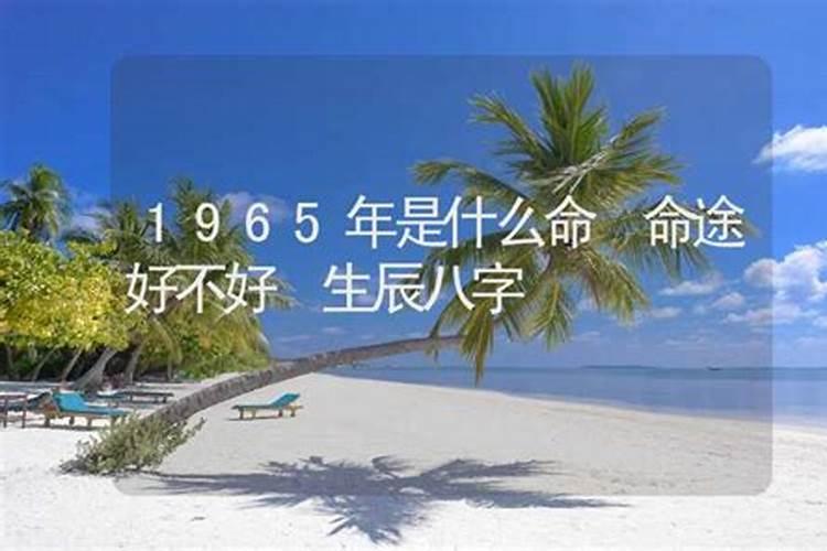 2025属鼠人躲不过去的大难