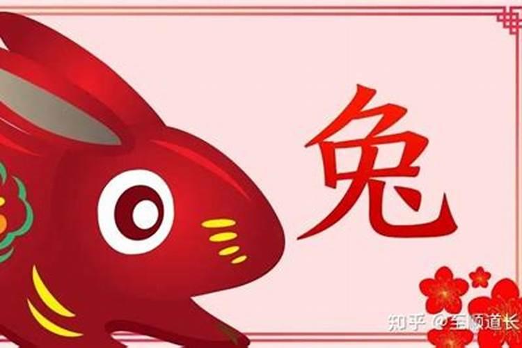 生肖兔2025年运势及运程如何