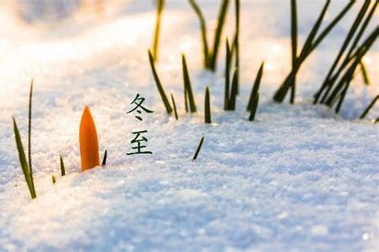 中年胎养大运,大运胎运会带来什么