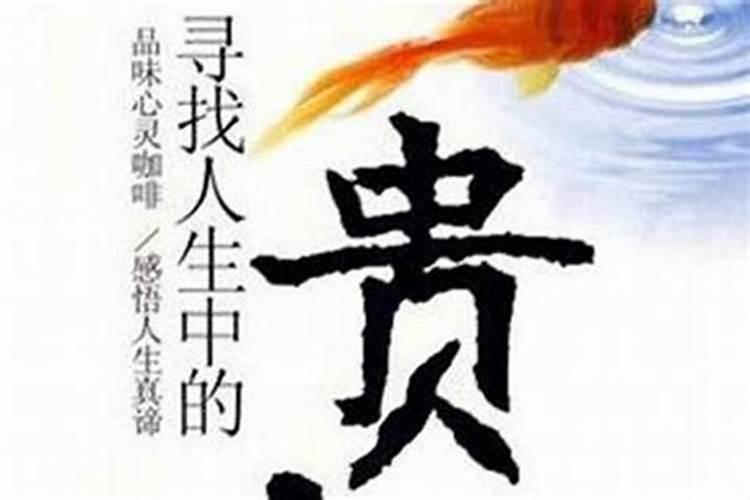 属马人2024年运势及运程详解