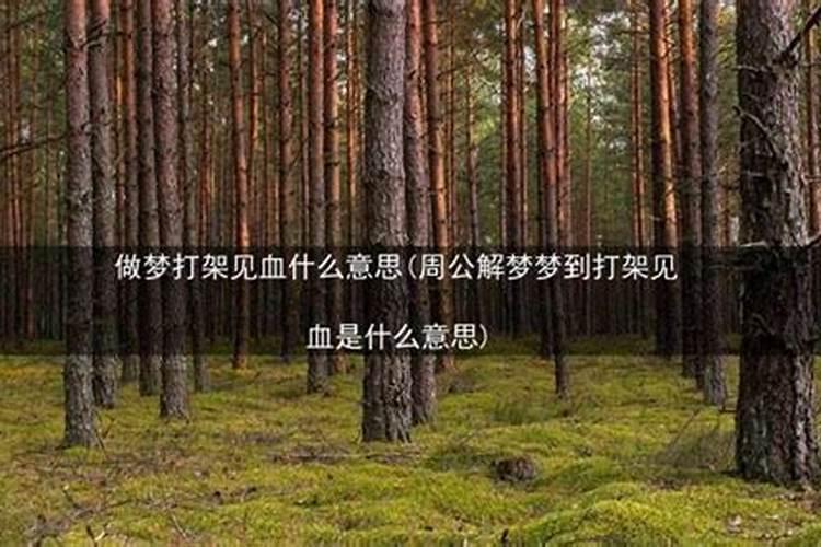 梦见打架见血死人是什么意思？