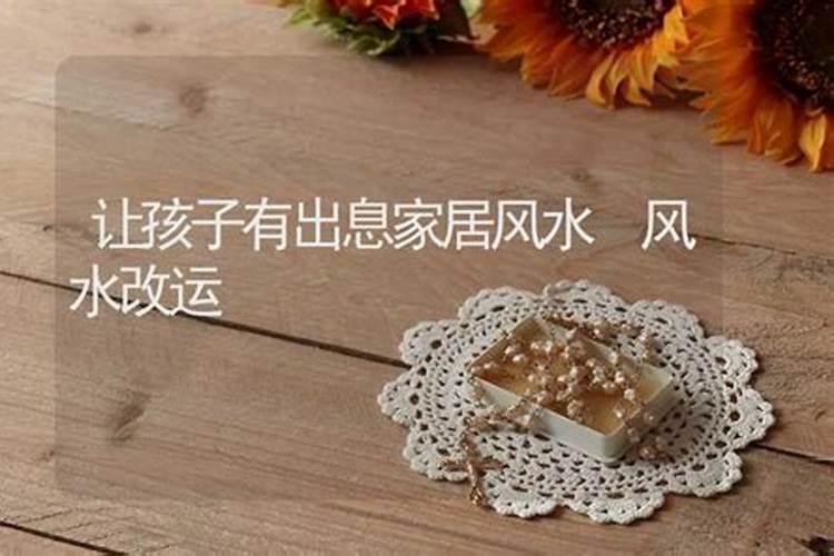 1984年属鼠财运怎么样84年生肖鼠一生财运