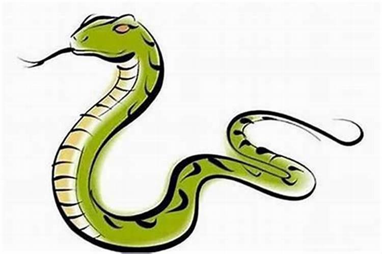男鸡女蛇不要错过为什么是上等婚吗