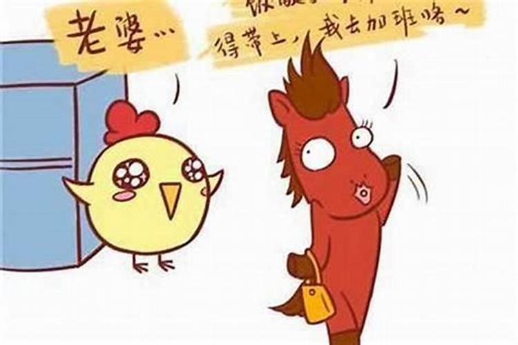 八字配对查询 属蛇女与属鸡男婚姻如何？