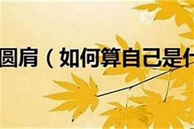 测测你是什么命,测试自己是五行中我的命运!