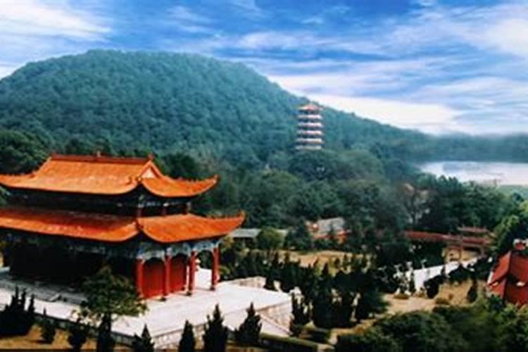 禅茶是什么意思