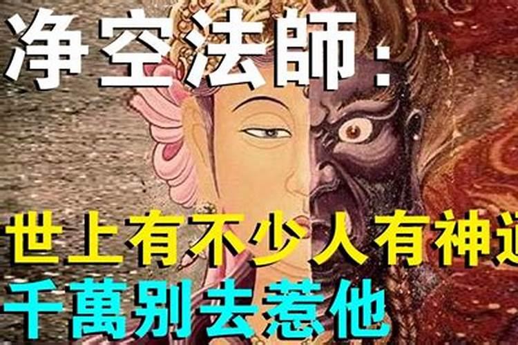 庄子试妻的典故？