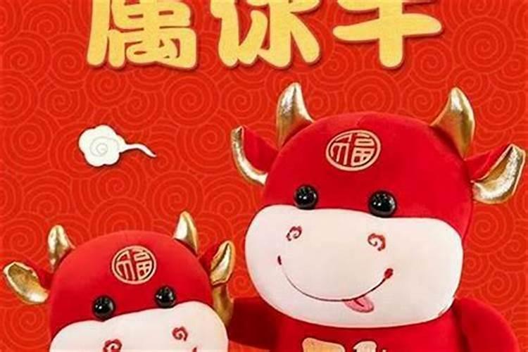 冬至节气出生取名字推荐有福气的乳名