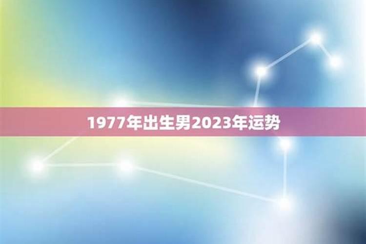 1977年属蛇的女人一生