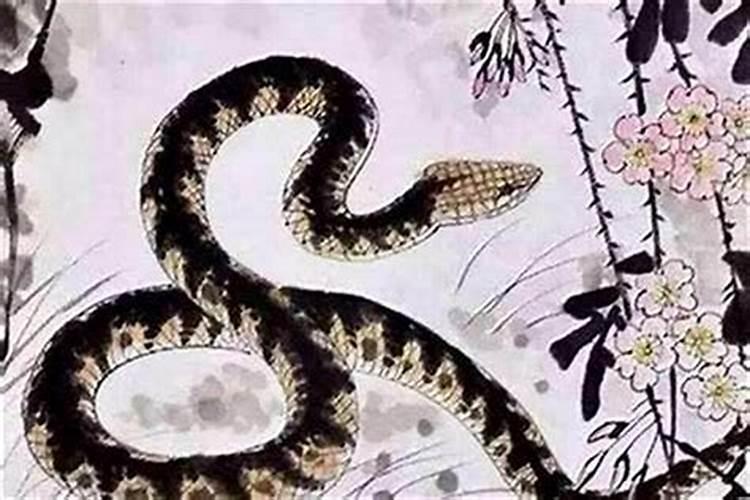 冬至的气候特点是什么