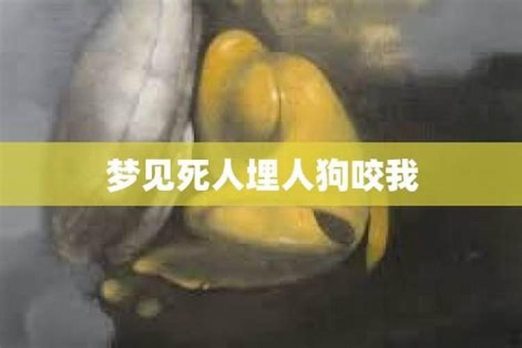 属蛇遇哪年好运属蛇遇哪年倒霉