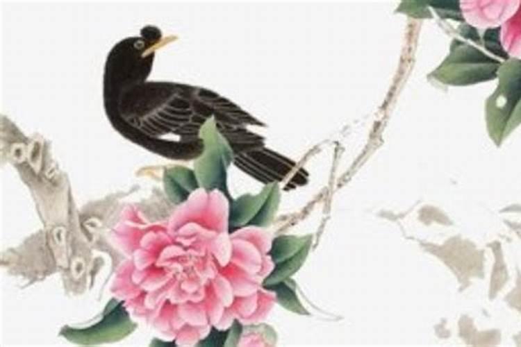 黑洞能让我们穿越时空,回到过去,见到已故的亲人吗？