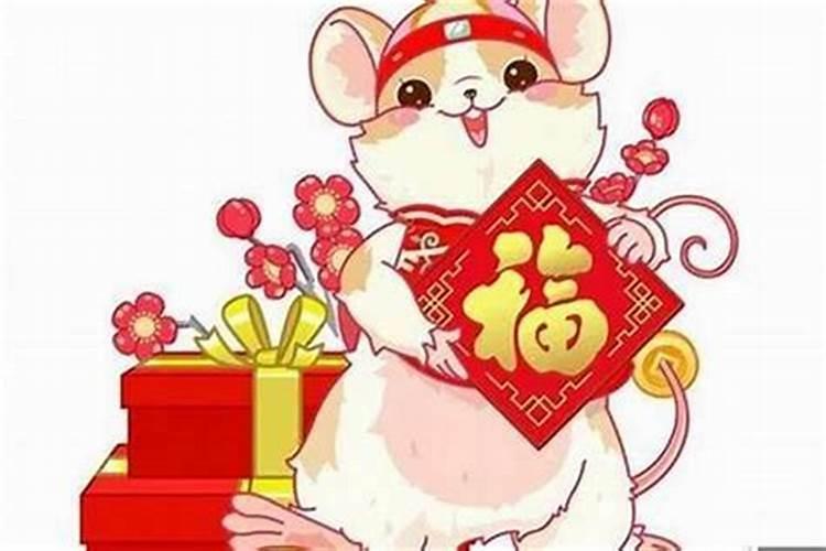 属鼠的今年运势如何