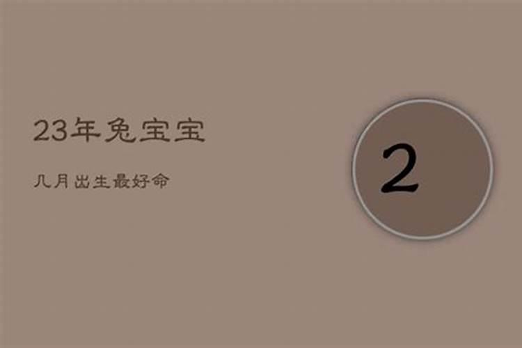 兔宝宝几月出生最好命 属兔最忌讳几月出生