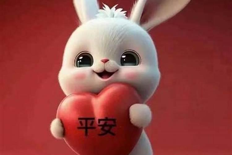 属兔的几月出生最好