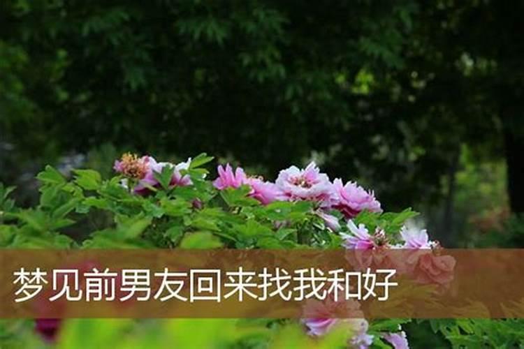 农历十月一上坟提前一天行吗 为何要在这天上坟