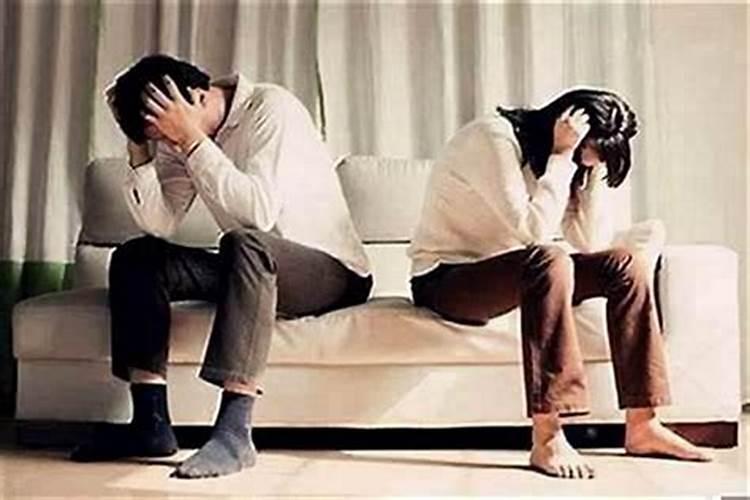 女人梦见牛财运好不好预兆