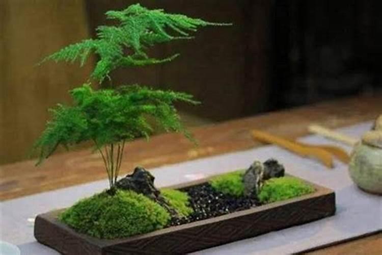 梦见陌生人掉到海里