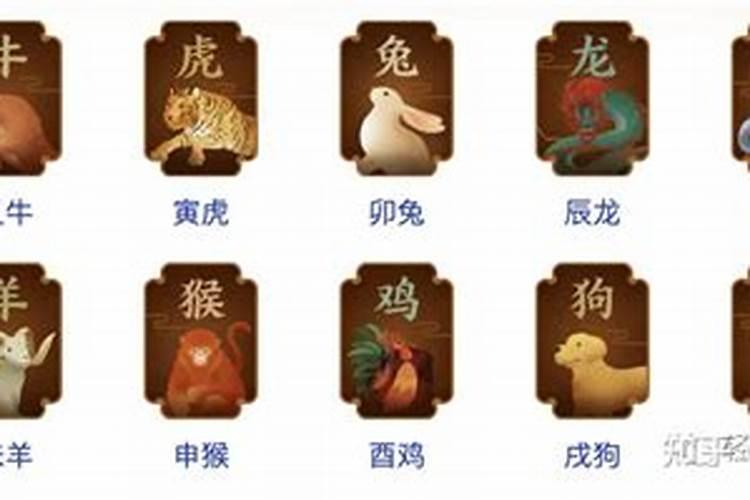 冬至出生的人阴气重 生活无忧没有烦恼？