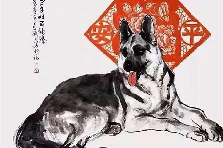 属狗几月出生最不好命