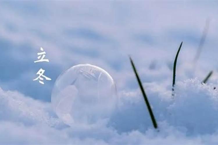 85年牛女2025年运势及每月的运程