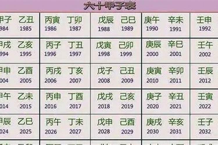 申酉年是未来的哪一年啊