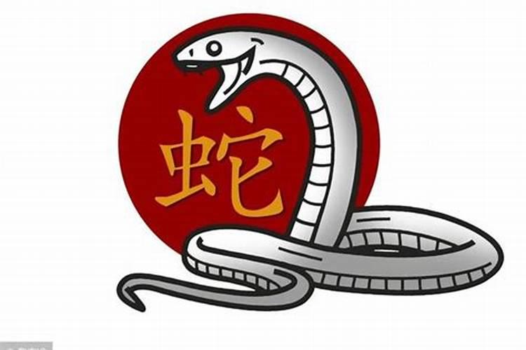 属蛇未来5年运势走向未来10年运势如何？