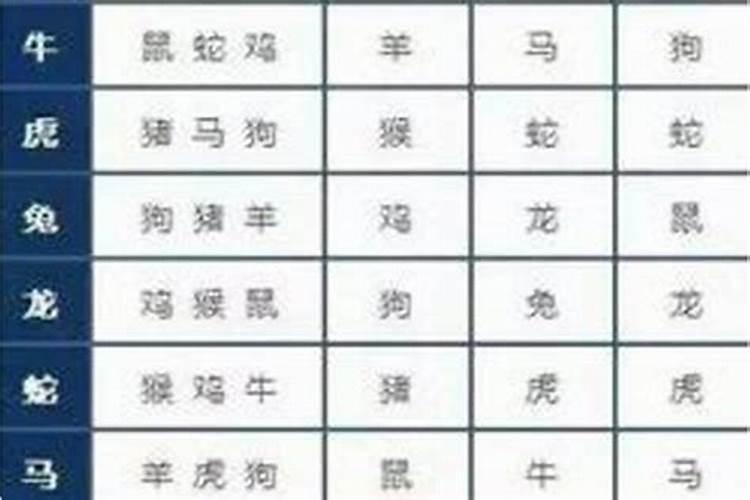 女属羊的和男属羊的婚配不好吗,女属羊1991的和男属羊1979的配婚