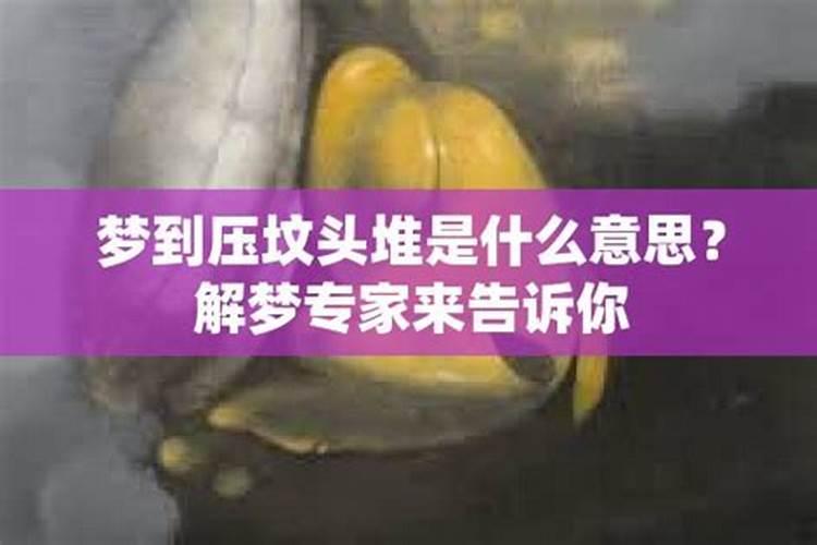 2025年5月27日生肖鼠三大运势指数